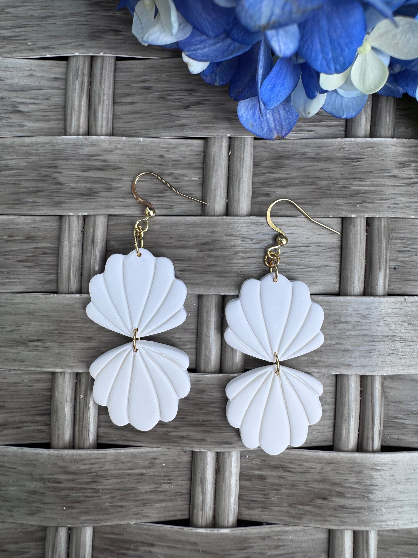 White Scallop Shells - Open