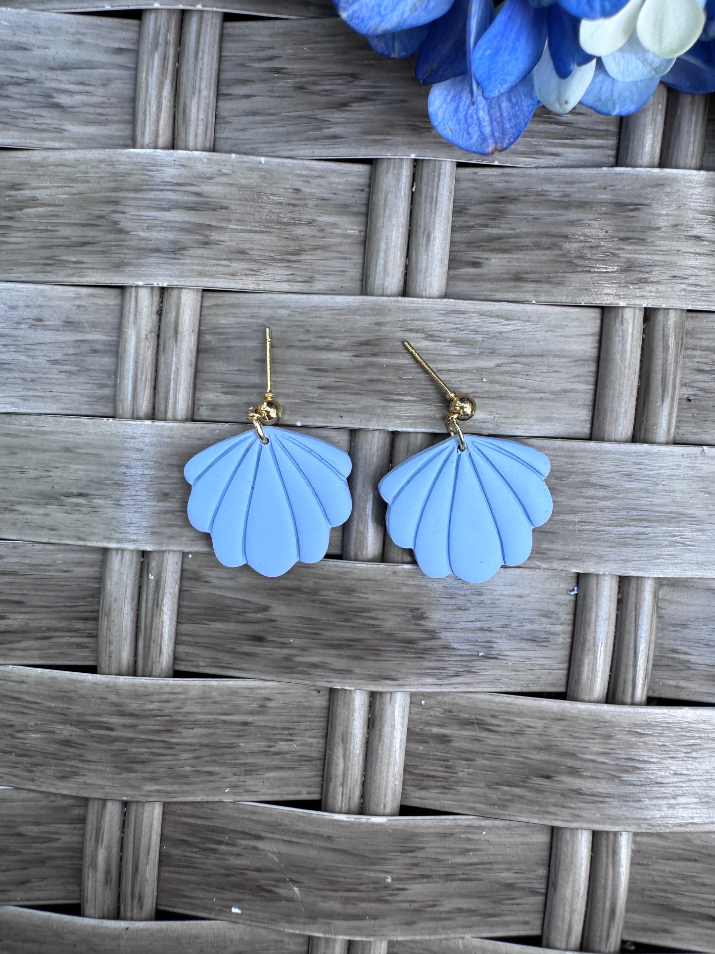 Blue Scallop Shells