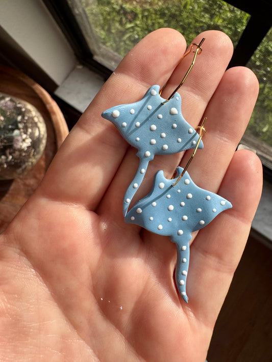 Rays
