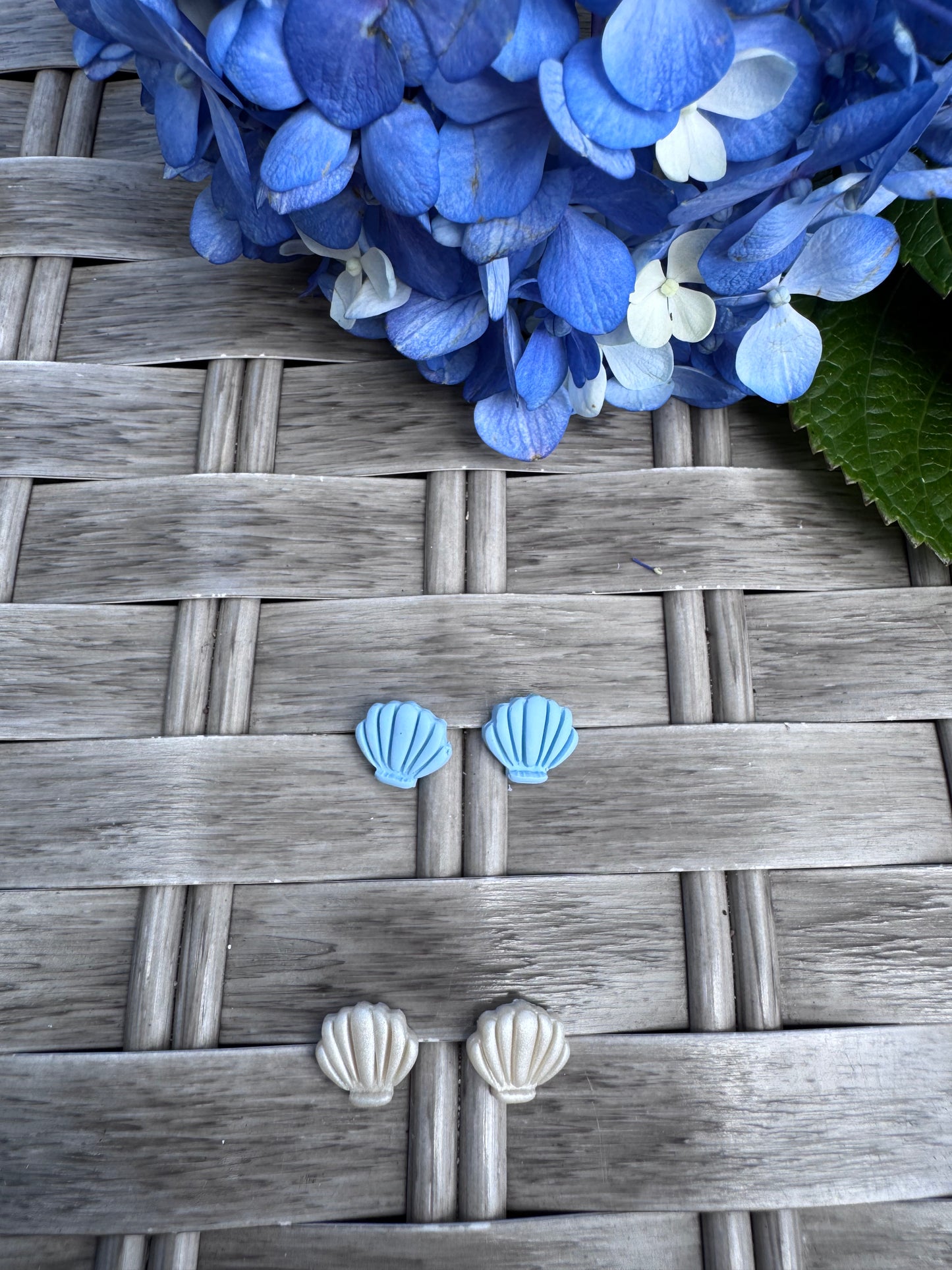 Scallop Shell Studs